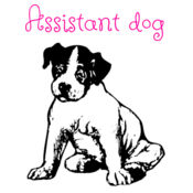 Assistant dog Design