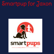 Alert dog for Jaxon Design